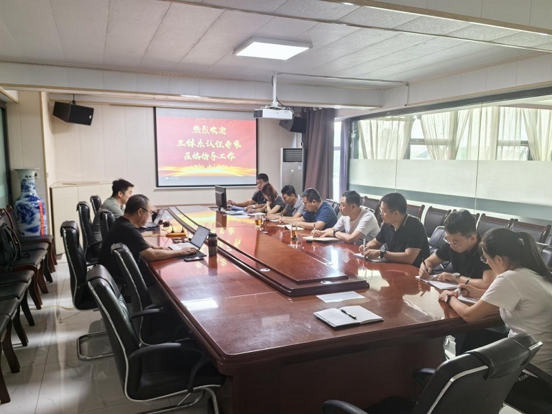 公司順利通過2024年度三體系認(rèn)證審核