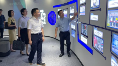 嘉興市政府副市長(zhǎng)倪滬平一行蒞臨健培科技考察調(diào)研